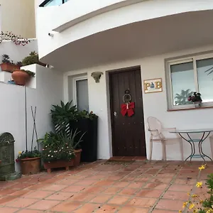Palm In La Duquesa Apartment Manilva
